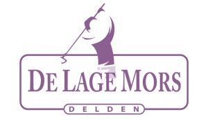 customer logo